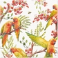 Parrots Flowers